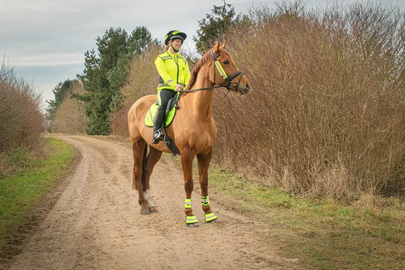 Hy Equestrian Please Pass Wide and Slow Waistcoat - Yellow/Black-2